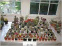 IMG_1912