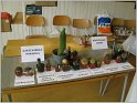 IMG_1939