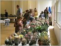 IMG_1943