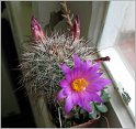 IMG_1972