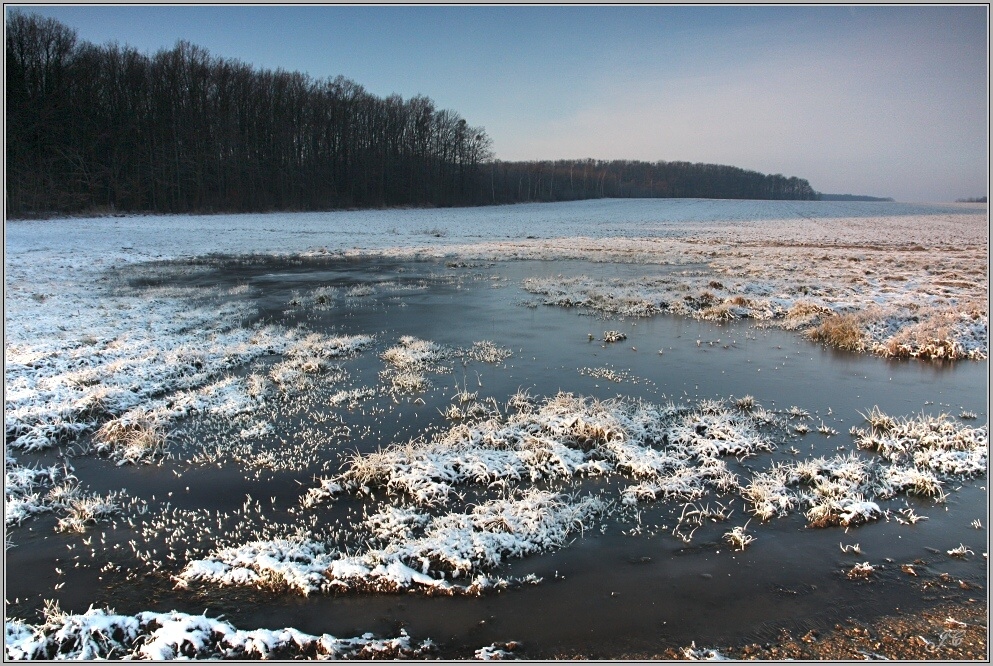 Bejřov