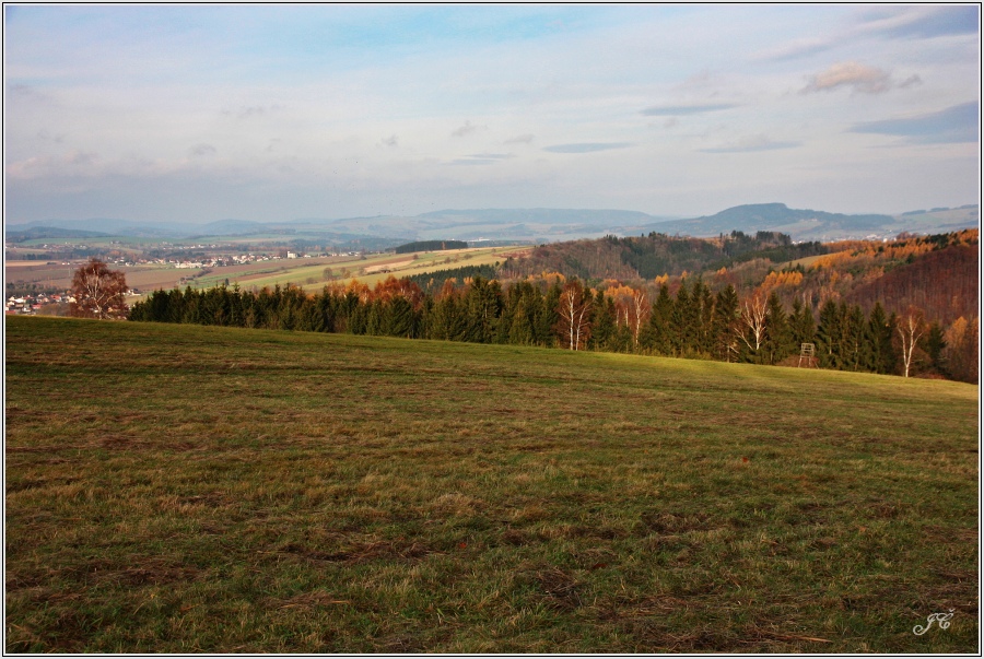 Bučina