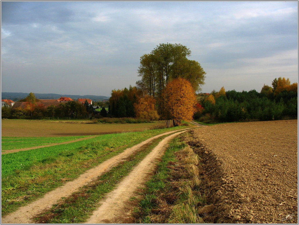 Budín