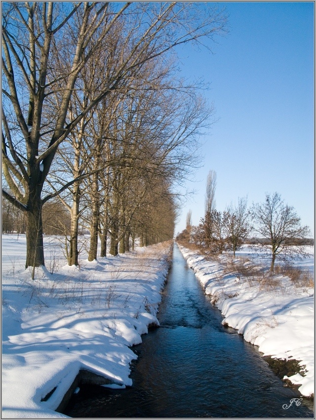 Bystřice