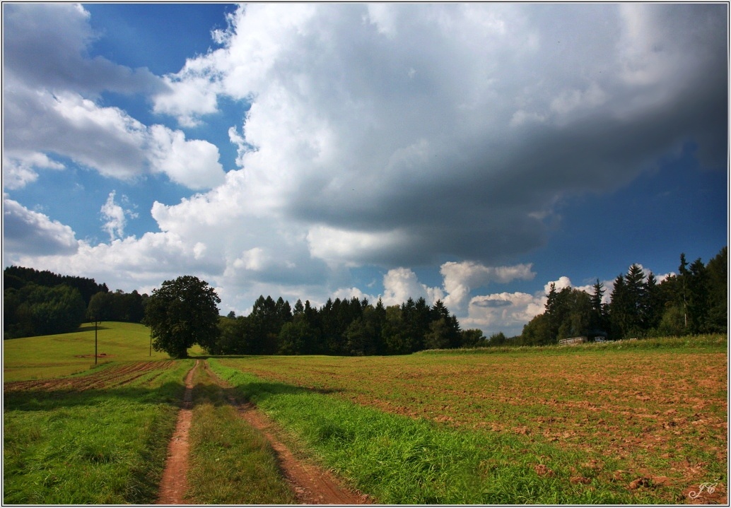 Hřebenovka