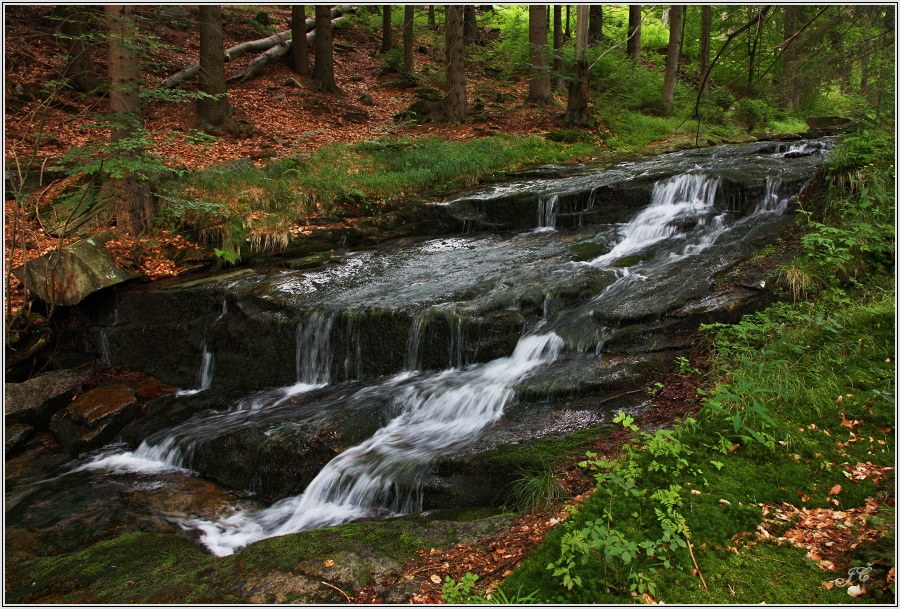 Hučava