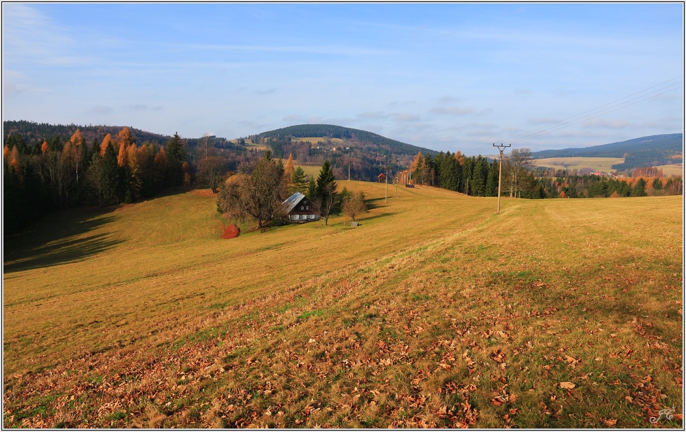 Jedlová