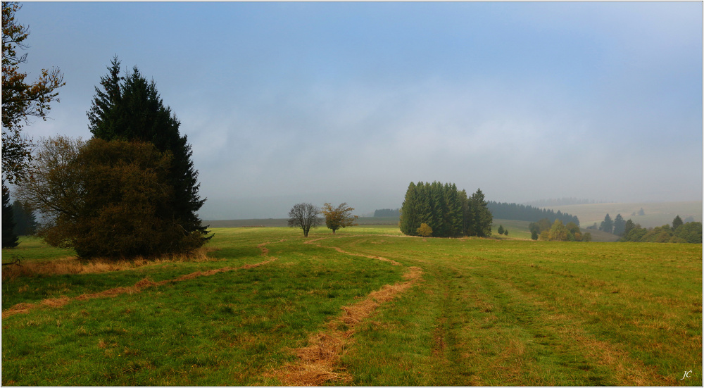 Louky nad Lesicí