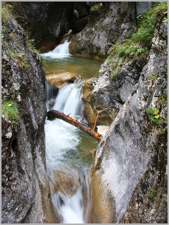 Medvědí soutěska