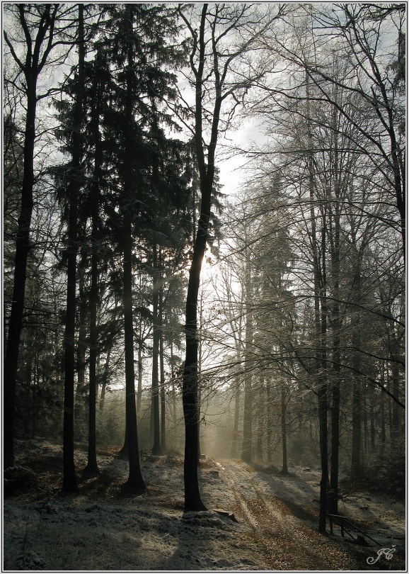 Nový Hradec