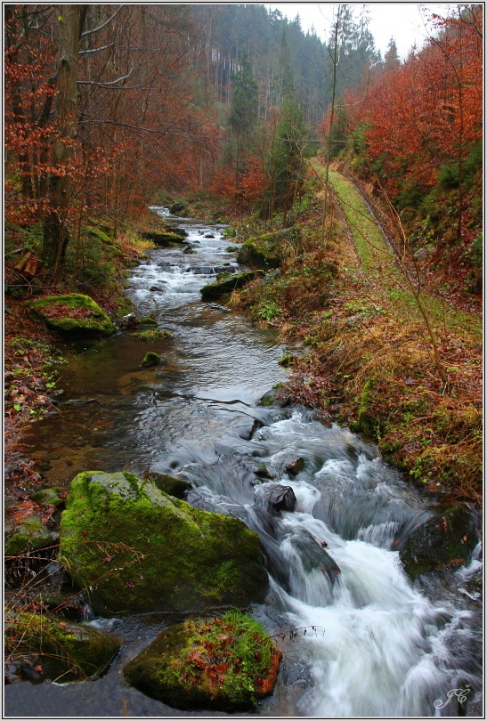 Olešenka