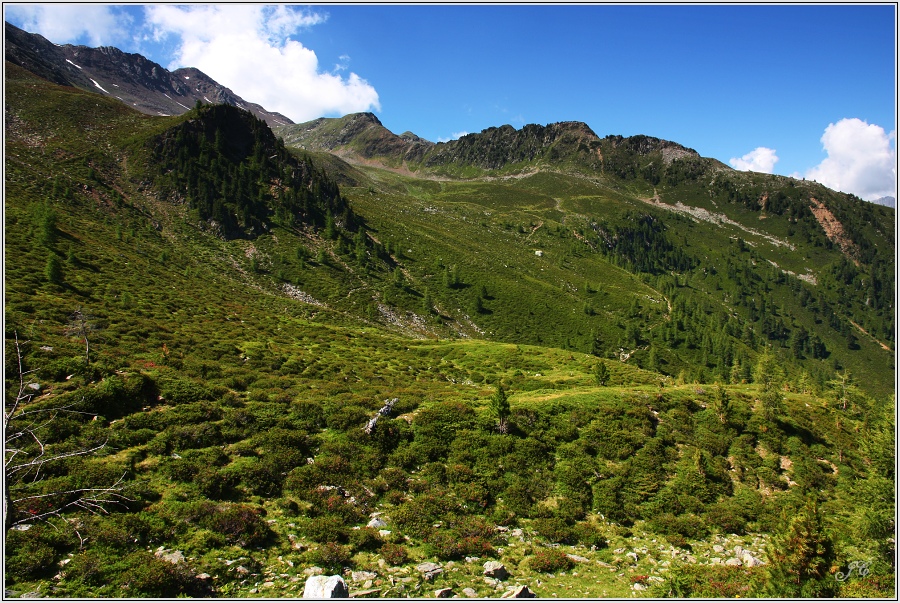 Steinzgeralm
