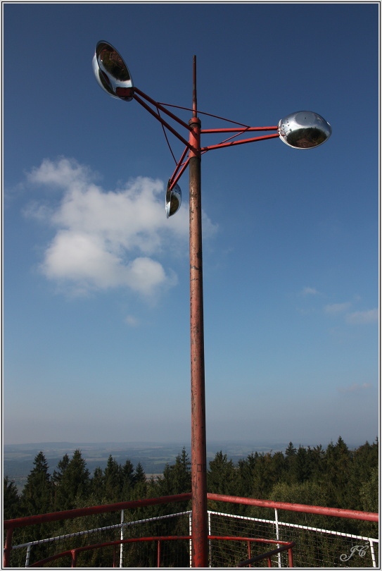 Žaltman