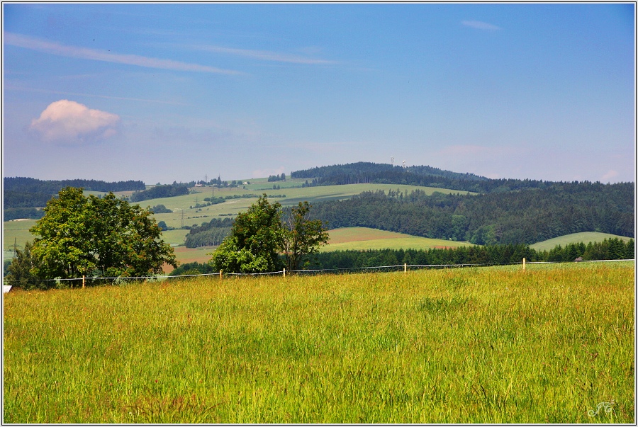 Zvičina