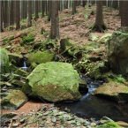 Kamenný potok