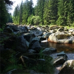 Šumava